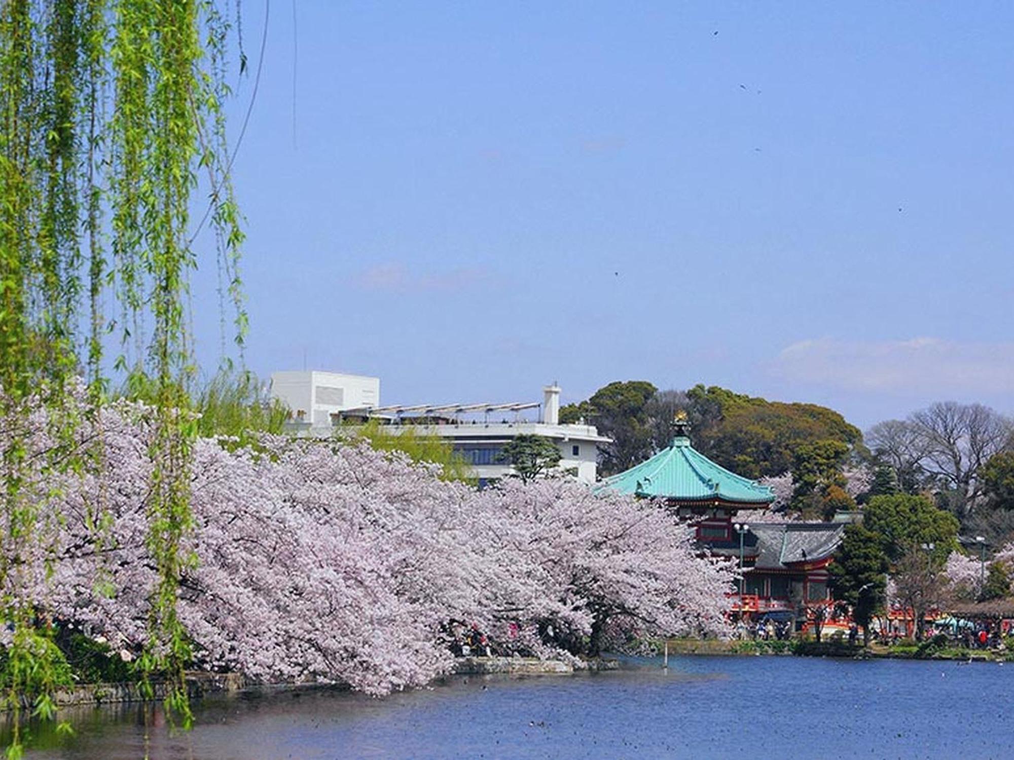 Hotel Mystays Ueno Iriyaguchi Tokio Exterior foto